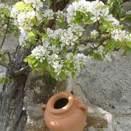 D'hôtes Myrtille Couette-café 3*