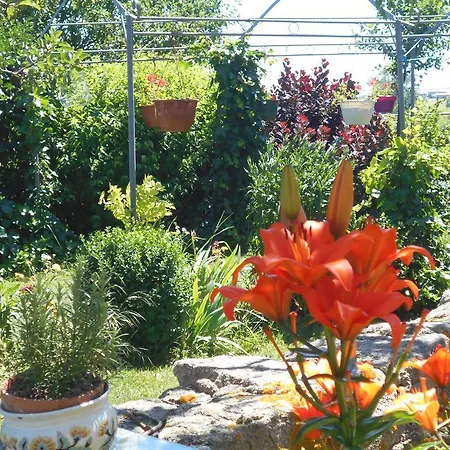 Bed & Breakfast D'hotes Myrtille 3*
