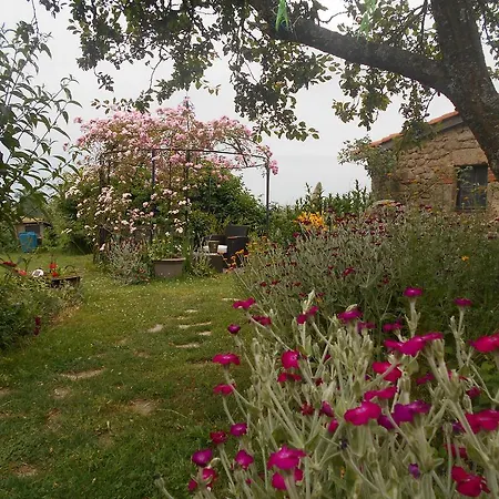 D'hotes Myrtille